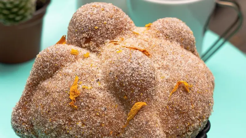 WhatsApp Image 2024 09 26 at 3.54.49 PM 1